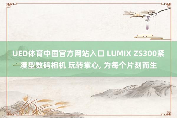 UED体育中国官方网站入口 LUMIX ZS300紧凑型数码相机 玩转掌心， 为每个片刻而生