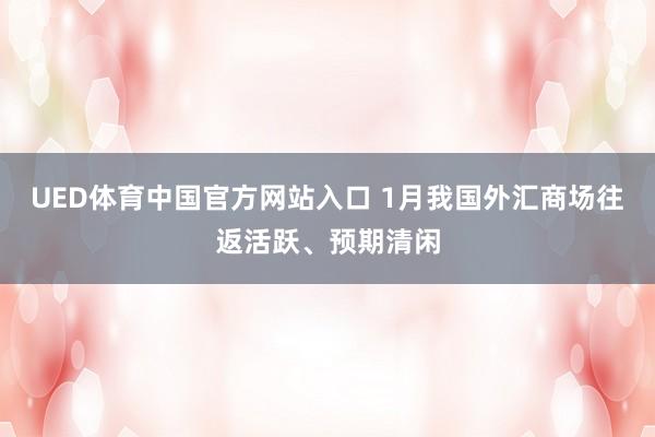 UED体育中国官方网站入口 1月我国外汇商场往返活跃、预期清闲