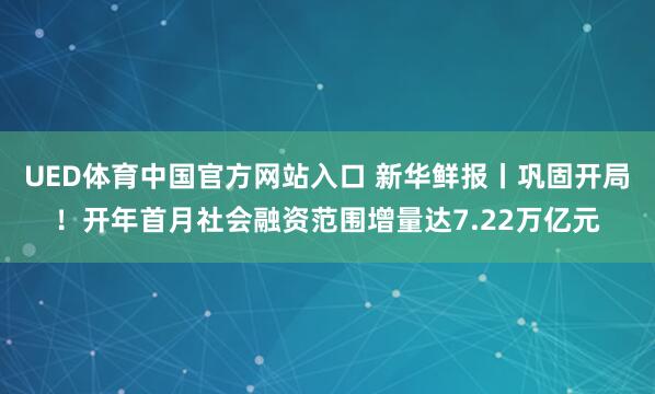 UED体育中国官方网站入口 新华鲜报丨巩固开局！开年首月社会融资范围增量达7.22万亿元