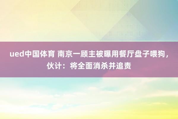 ued中国体育 南京一顾主被曝用餐厅盘子喂狗，伙计：将全面消杀并追责