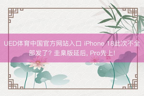 UED体育中国官方网站入口 iPhone 18此次不全部发了? 圭臬版延后， Pro先上!