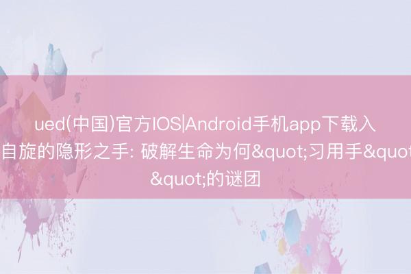 ued(中国)官方IOS|Android手机app下载入口 量子自旋的隐形之手: 破解生命为何"习用手"的谜团