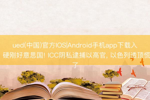 ued(中国)官方IOS|Android手机app下载入口 硬刚好意思国! ICC阴私逮捕以高官, 以色列透顶慌了