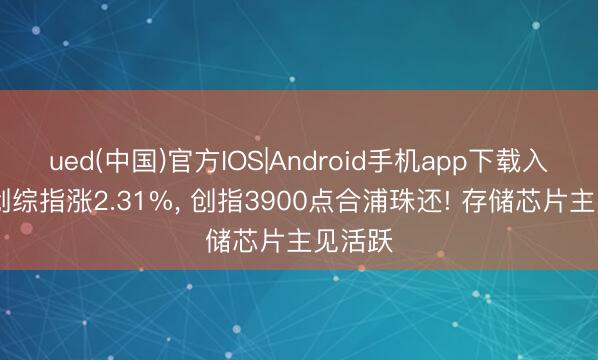 ued(中国)官方IOS|Android手机app下载入口 科创综指涨2.31%， 创指3900点合浦珠还! 存储芯片主见活跃