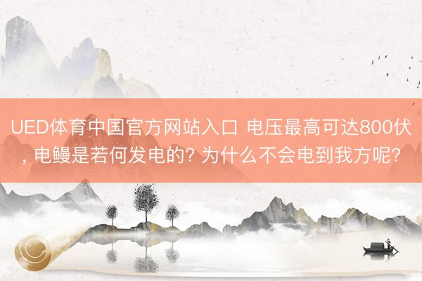 UED体育中国官方网站入口 电压最高可达800伏， 电鳗是若何发电的? 为什么不会电到我方呢?