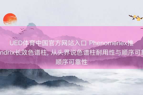 UED体育中国官方网站入口 Phenomenex推出Endrix长效色谱柱， 从头界说色谱柱耐用性与顺序可靠性