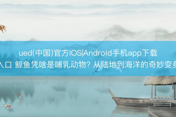 ued(中国)官方IOS|Android手机app下载入口 鲸鱼凭啥是哺乳动物? 从陆地到海洋的奇妙变身