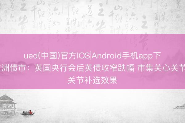 ued(中国)官方IOS|Android手机app下载入口 欧洲债市：英国央行会后英债收窄跌幅 市集关心关节补选效果