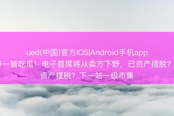 ued(中国)官方IOS|Android手机app下载入口 端午节一皆吃瓜！电子首席将从卖方下野，已资产摆脱？下一站一级市集